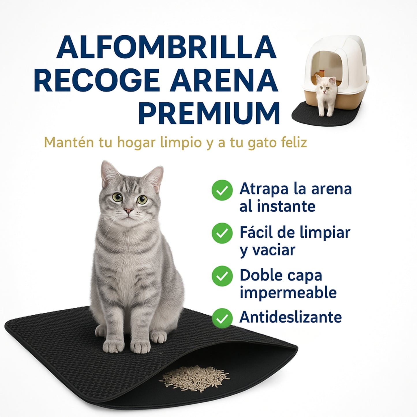 Alfombra Atrapa Arena