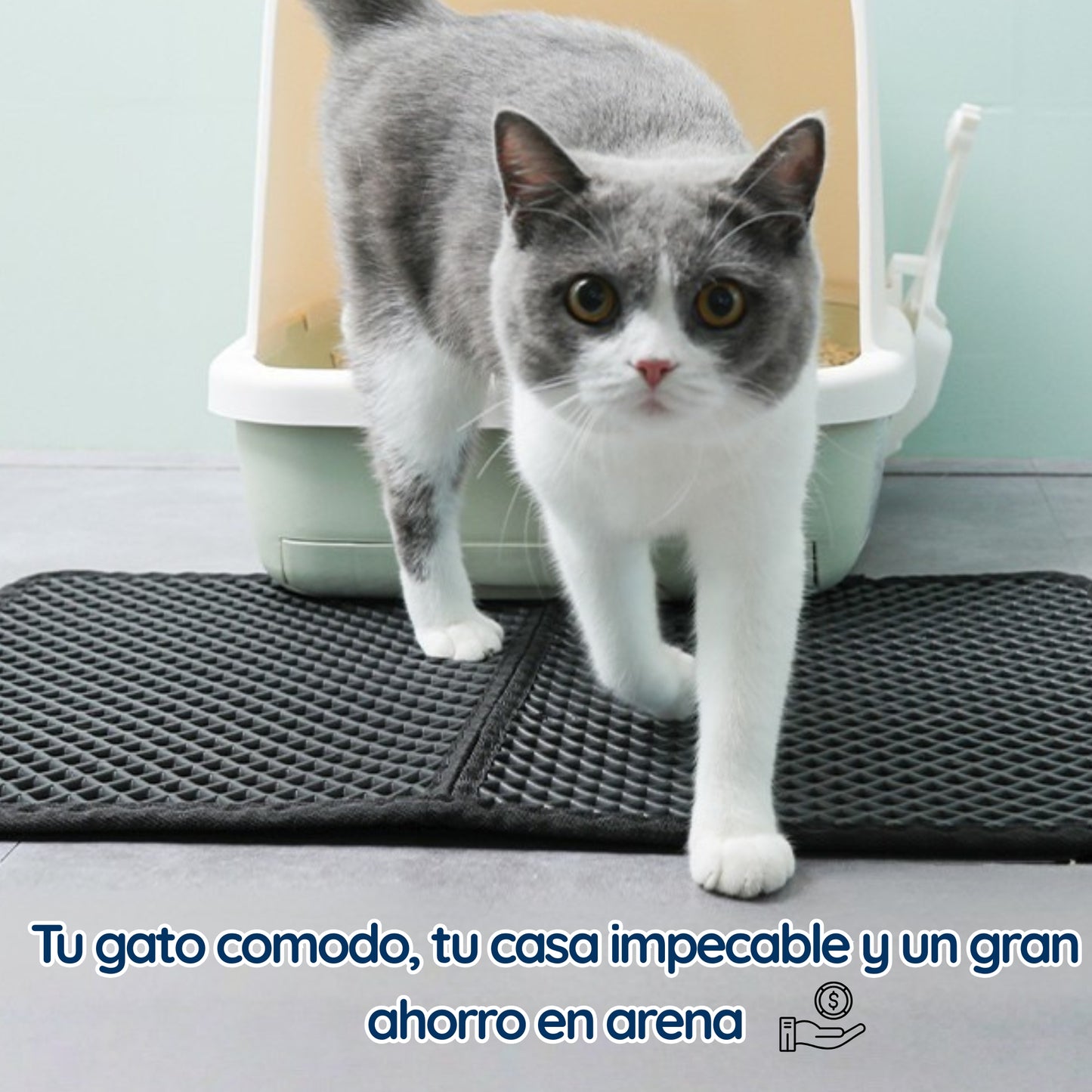 Alfombra Atrapa Arena